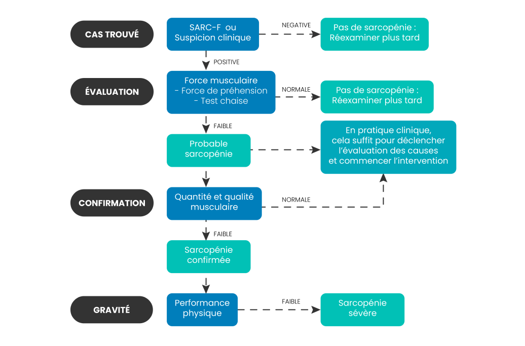 algorithme et recommande l’utilisation de l’outil de dépistage SARC-F avant d’entreprendre les tests de diagnostic de la sarcopénie