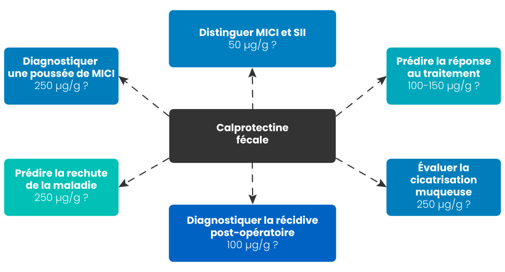 Quelle est la place du dosage de la calprotectine fécale dans le diagnostic et le suivi d’une MICI ?