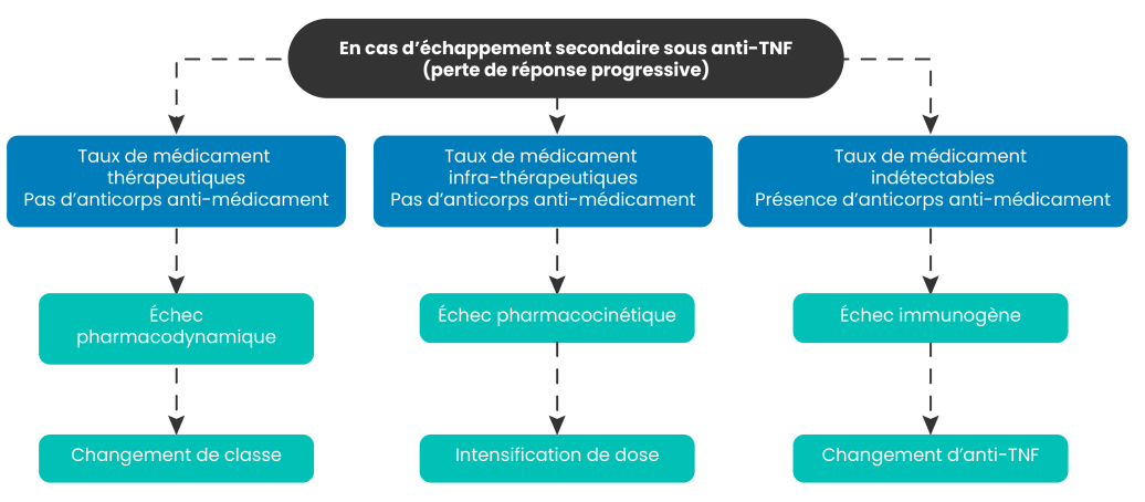 La perte de réponse aux anti-TNF est une situation courante, touchant entre 15 et 30 % des patients, indépendamment de la biothérapie utilisée. L'échappement thérapeutique à un anti-TNF est l'indication la plus justifiée pour le dosage des TDM. Les différentes situations rencontrées chez un patient avec une MICI sous biothérapie anti-TNF en perte de réponse au traitement selon les résultats des TDM.